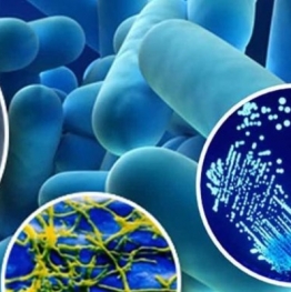 PUBLISHED THE NEW SPANISH ROYAL DECREE FOR THE PREVENTION AND CONTROL OF LEGIONELLA